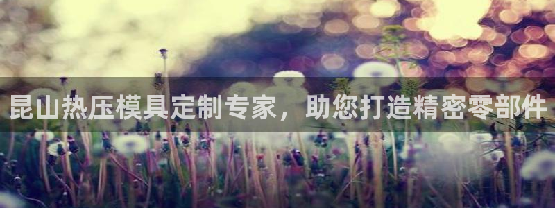 易倍网页版登录