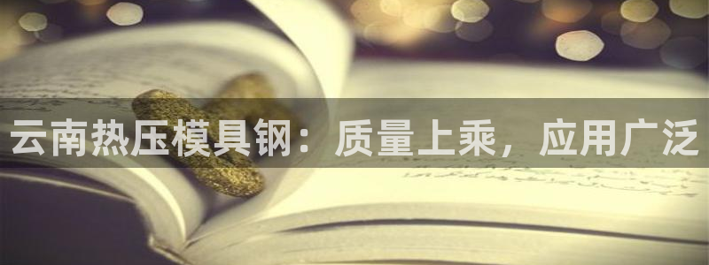 易倍网络技术有限公司是干嘛的：云南热压模具钢：质量上乘，