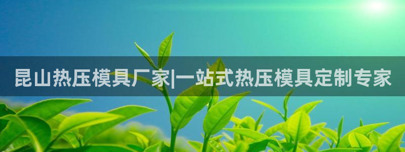 emc参数