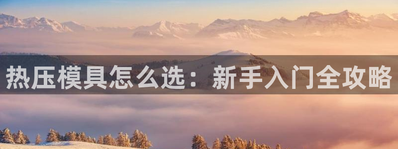 易倍康简历