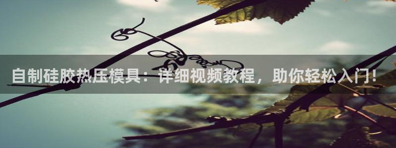 易倍申的价格