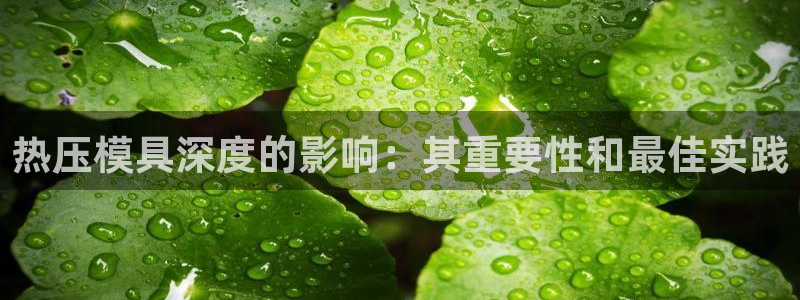 易倍申的包装规格