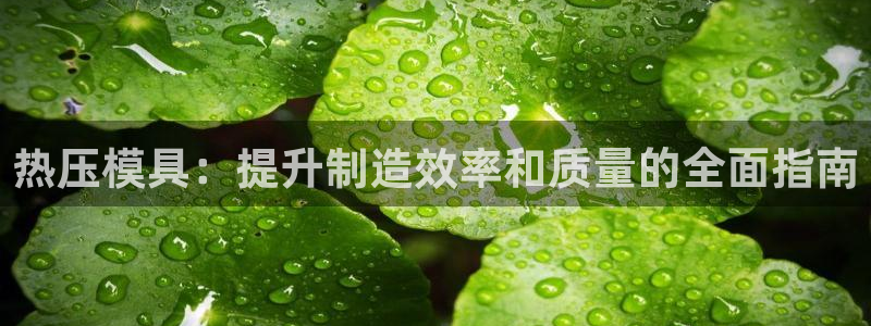 易倍单词app官网