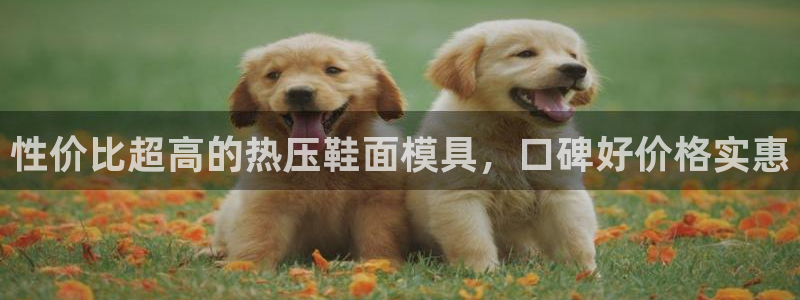 易倍全站