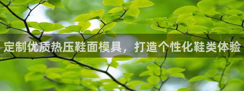emc全站网页版：定制优质热压鞋面模具，打造个性化鞋类体