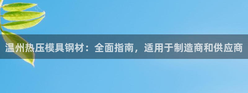 易倍申可以长期服用吗：温州热压模具钢材：全面指南，适用于