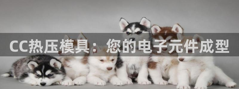 emc易赔：CC热压模具：您的电子元件成型