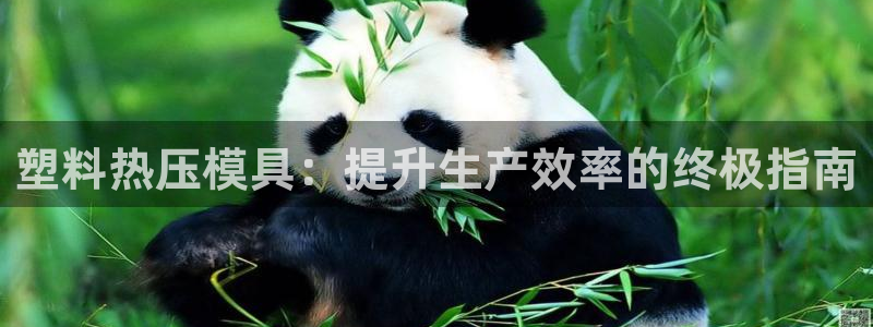 emc易赔：塑料热压模具：提升生产效率的终极指南