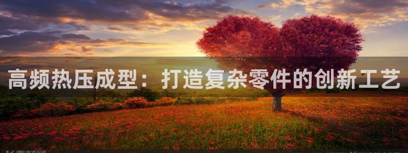 emc易倍官方平台：高频热压成型：打造复杂零件的创新工艺