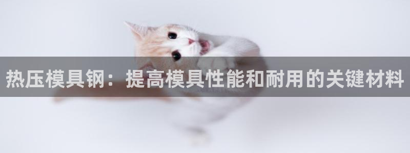 emc易倍官方平台：热压模具钢：提高模具性能和耐用的关键