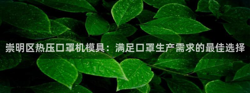 易倍申多少钱一盒：崇明区热压口罩机模具：满足口罩生产需求