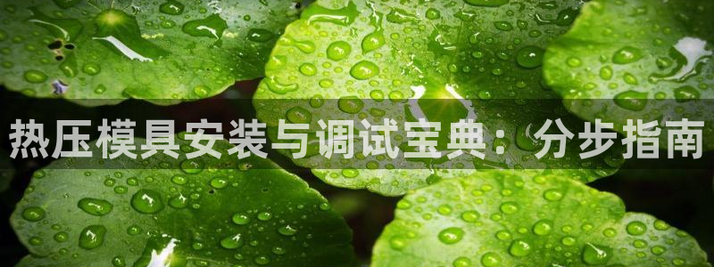 emc低频不过