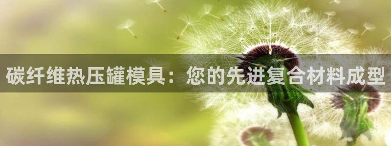 易倍易趣网：碳纤维热压罐模具：您的先进复合材料成型