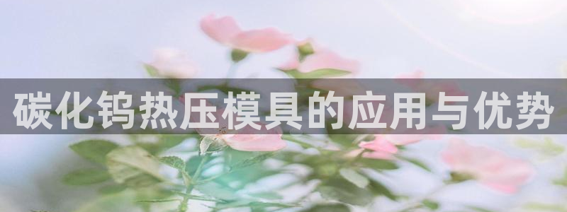 北京易倍思教育怎么样
