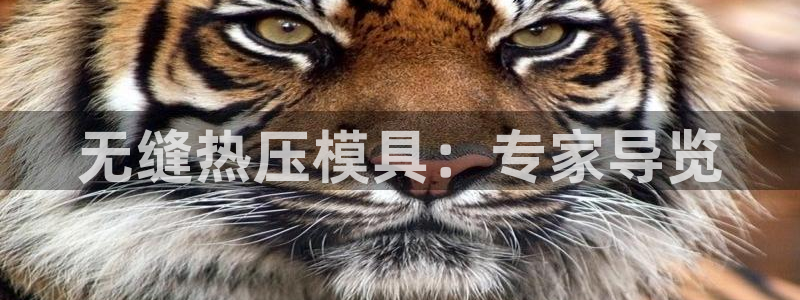 易倍思怎么样