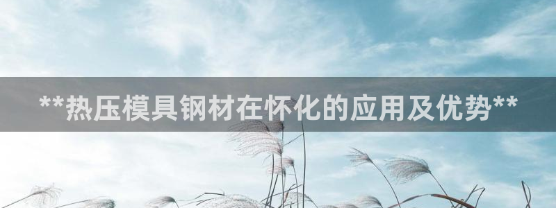 易倍单词官方网站下载：**热压模具钢材在怀化的应用及优势