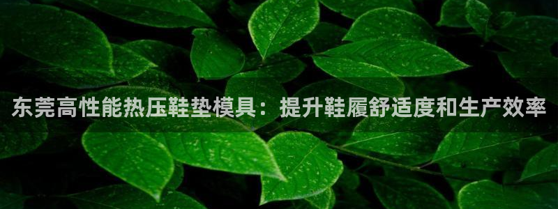 易倍申每盒价格是多少?：东莞高性能热压鞋垫模具：提升鞋履