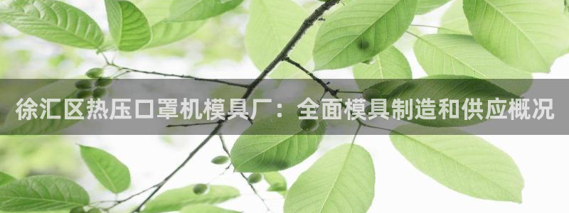 易倍申上市时间