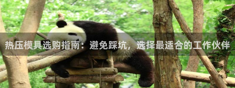 EMC易倍让身份验证
