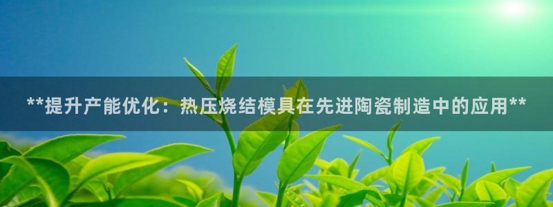 emc易倍全站官网：**提升产能优化：热压烧结模具在先进