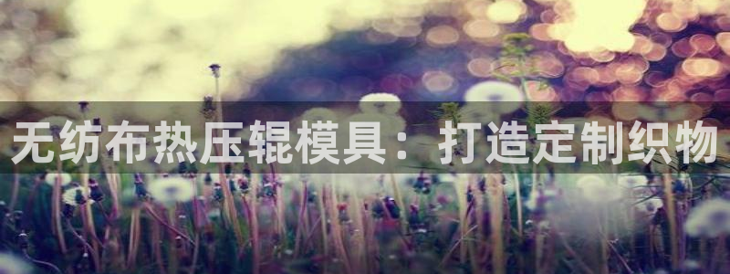 易倍电竞,有球必应