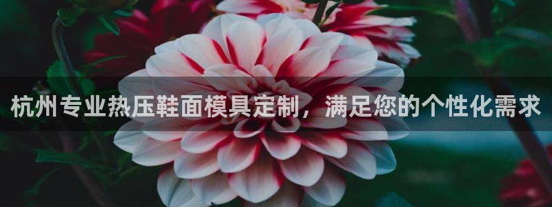 EMC倍频原理：杭州专业热压鞋面模具定制，满足您的个性化