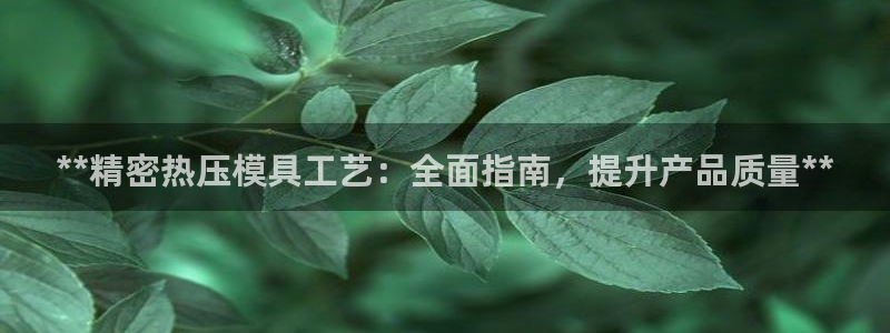 易倍单词如何下载：**精密热压模具工艺：全面指南，提升产