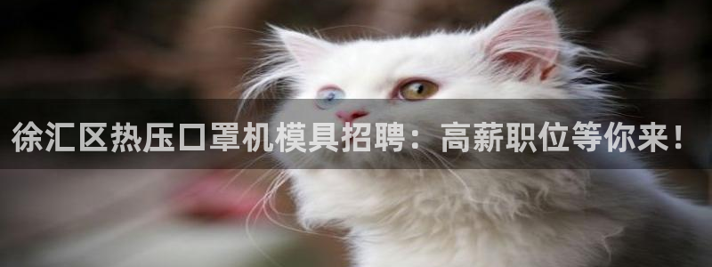易倍网页版登录