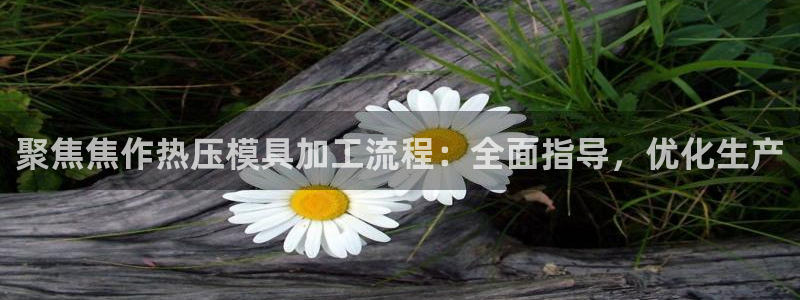 易倍达科技有限公司：聚焦焦作热压模具加工流程：全面指导，