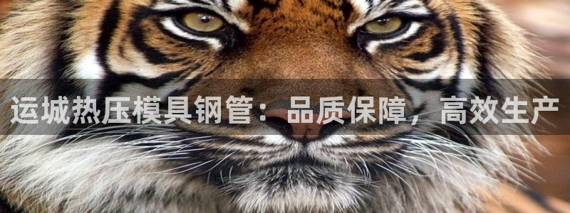 易倍网页版登录：运城热压模具钢管：品质保障，高效生产