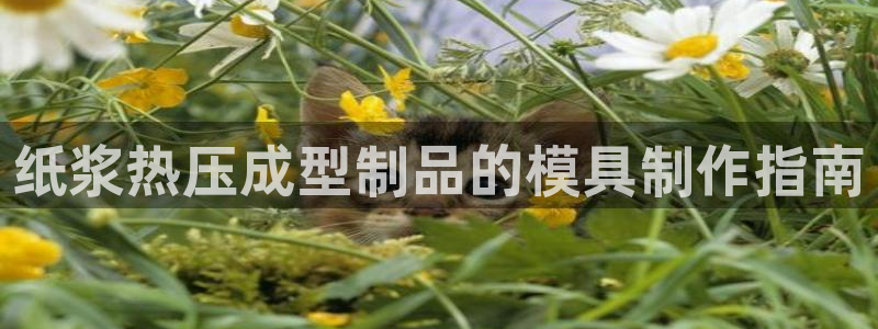 emc下载ios