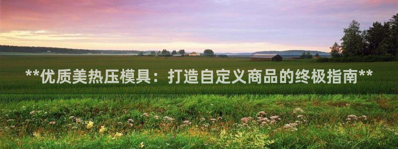 武汉易倍捷科技有限公司：**优质美热压模具：打造自定义商