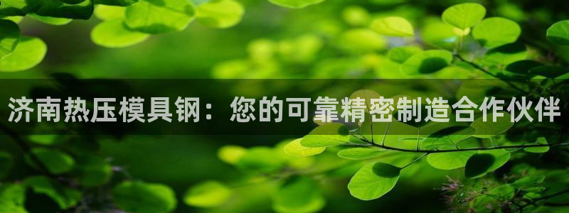 易倍纤怎么使用：济南热压模具钢：您的可靠精密制造合作伙伴