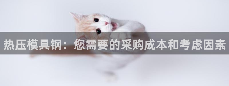 易倍纤酵素效果好吗