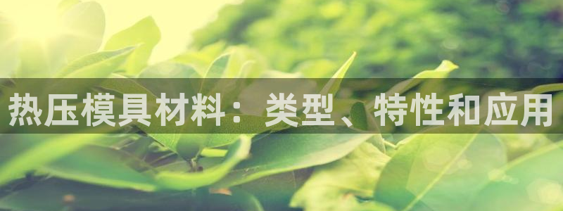 易倍思怎么样