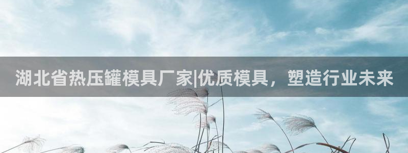 emc mcu