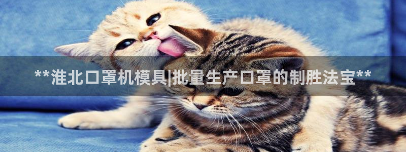 易倍申每盒价格是多少?：**淮北口罩机模具|批量生产口罩