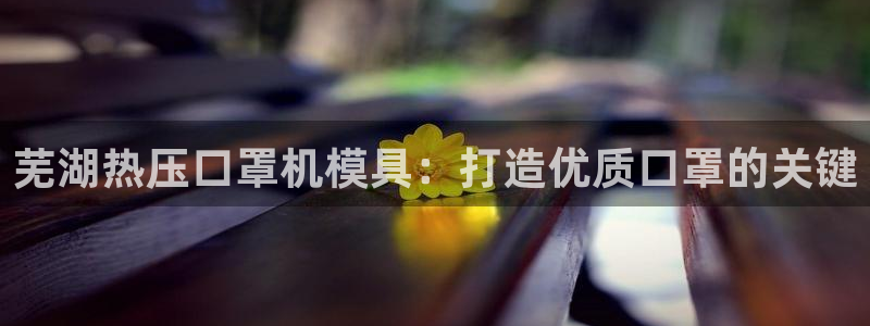emc平台：芜湖热压口罩机模具：打造优质口罩的关键