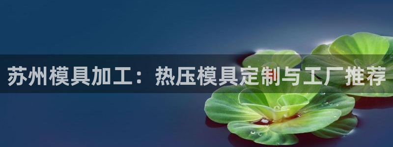 易倍纤减肥价格