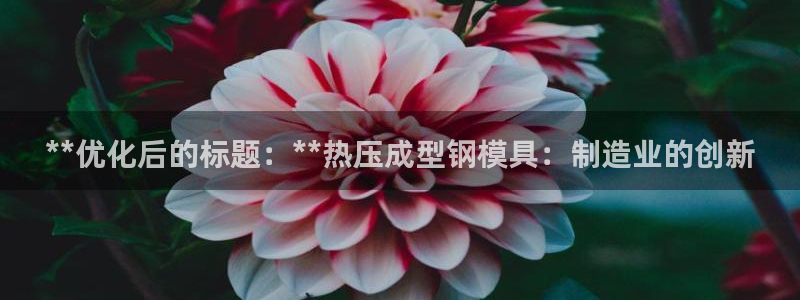 易倍电竞安装教程：**优化后的标题：**热压成型钢模具：