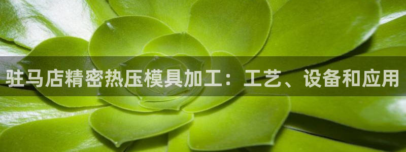 emc易倍是黑台子吗：驻马店精密热压模具加工：工艺、设备