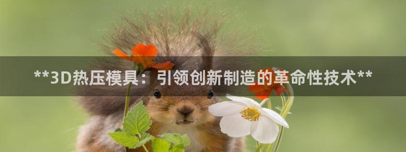 易倍申片的副作用：**3D热压模具：引领创新制造的革命性
