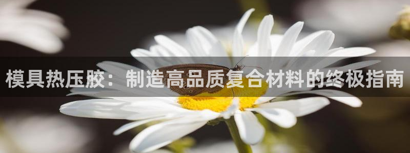 易倍申和易倍清的区别：模具热压胶：制造高品质复合材料的终