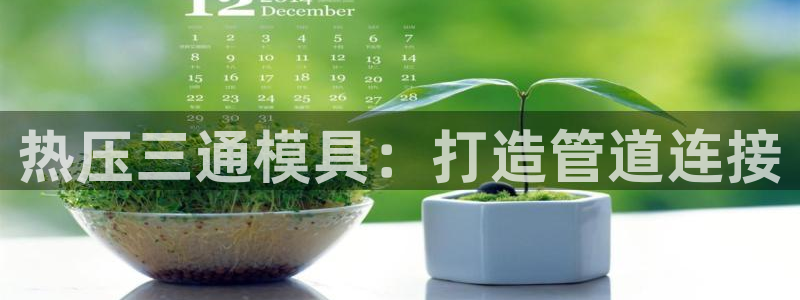 易倍申医保报销