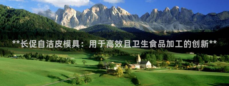 emc易倍电竞：**长促自洁皮模具：用于高效且卫生食品加