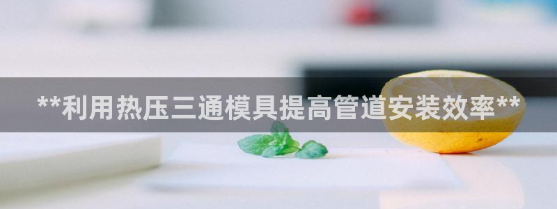 武汉易倍捷科技有限公司：**利用热压三通模具提高管道安装