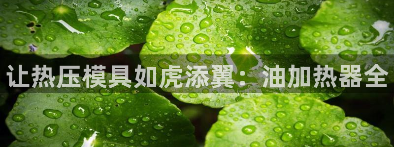 emc易倍