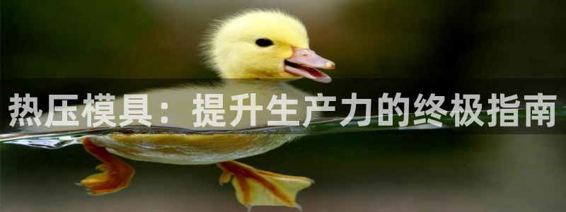 EMC易倍：热压模具：提升生产力的终极指南