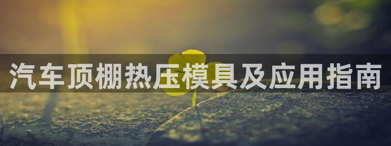 易倍申多少钱：汽车顶棚热压模具及应用指南