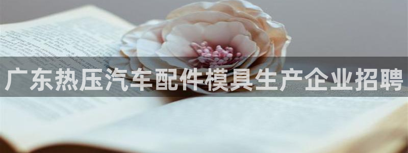 易倍纤酵素效果好吗